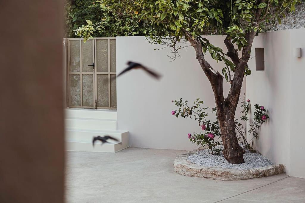 Lotusland, A Relaxing House At Amari Rethymno Villa Agia Fotini  Екстериор снимка